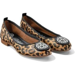 Aleta Ballerinas 16 Aleta Ballerinas -Brighton aleta ballerinas leopard 0 dae41ebd 562d 461b bb83 40d45b1e5528