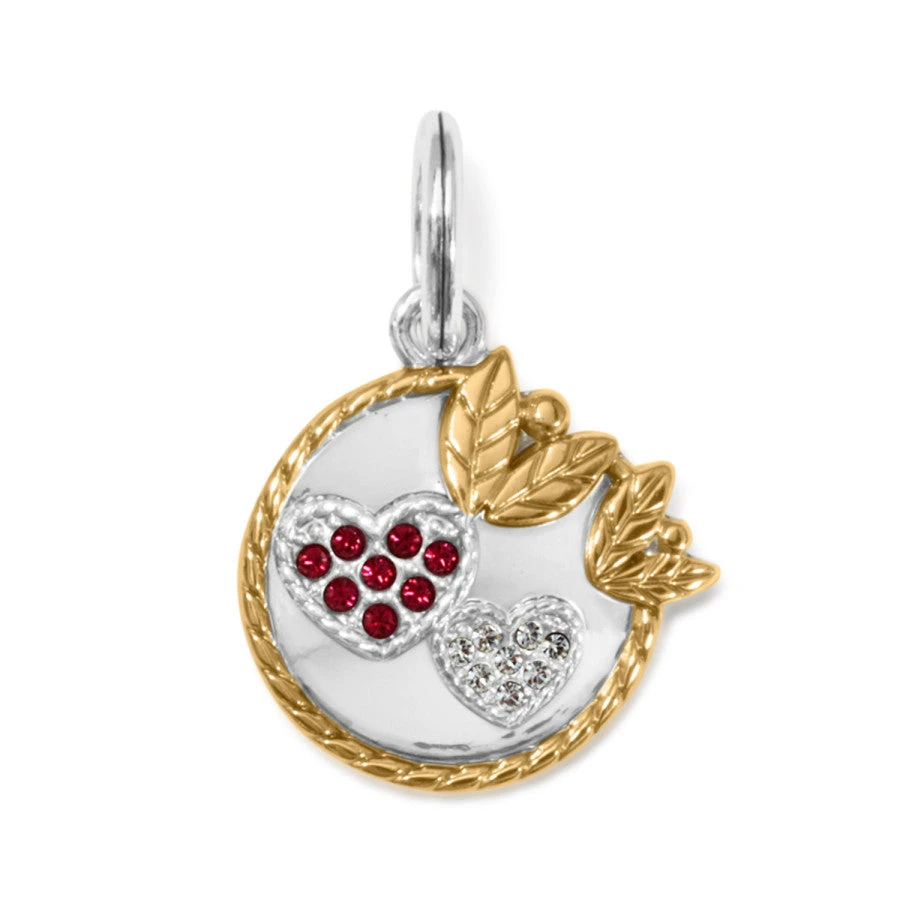 Gratitude Charm 1 Gratitude Charm